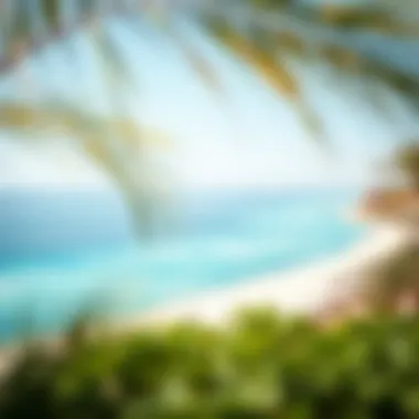 A panoramic view of Al Mamzar Beach showcasing its azure waters and pristine sandy shores