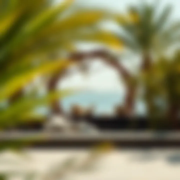 Artistic elements immersed in natural surroundings at Al Noor Island