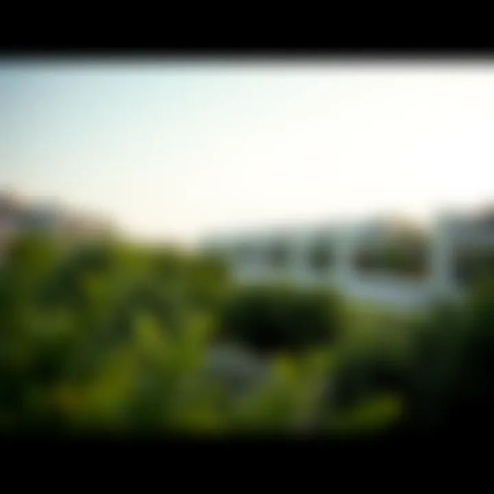 Community events and ecological initiatives at Al Noor Island promoting sustainability