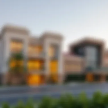 Luxurious real estate options available for expats in the UAE