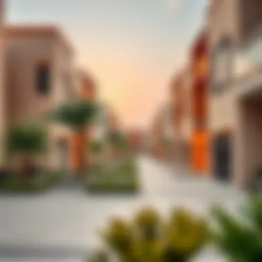 A vibrant community built by شركة شوبا, showcasing communal spaces