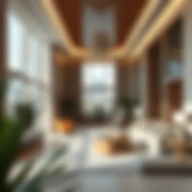 Highlighting the luxurious interiors of a شركة شوبا development