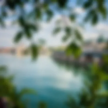 Efforts Towards Danube Conservation Conservation efforts showcasing a clean stretch of the Danube River