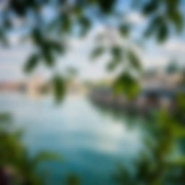 Efforts Towards Danube Conservation Conservation efforts showcasing a clean stretch of the Danube River