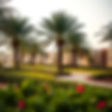 Tranquil Parks and Green Spaces in Al Quoz Tranquil parks and green spaces in Al Quoz