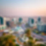 Panoramic view of Al Jawzaa International City showcasing modern architecture