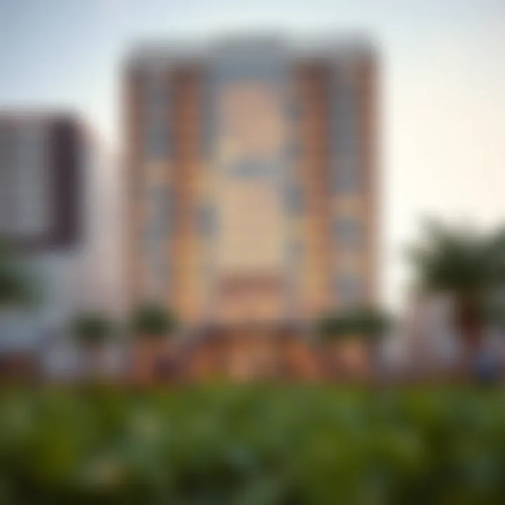 Community engagement activities around Al Maya Building