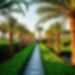 Panoramic view of Al Wathba Park showcasing lush greenery and pathways