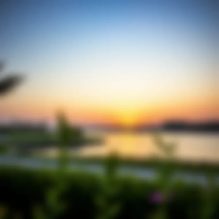 Sunset view over the lake at Al Wathba Park