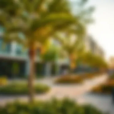 Community Amenities around Apricot Towers Community amenities surrounding Apricot Towers including parks and recreational areas