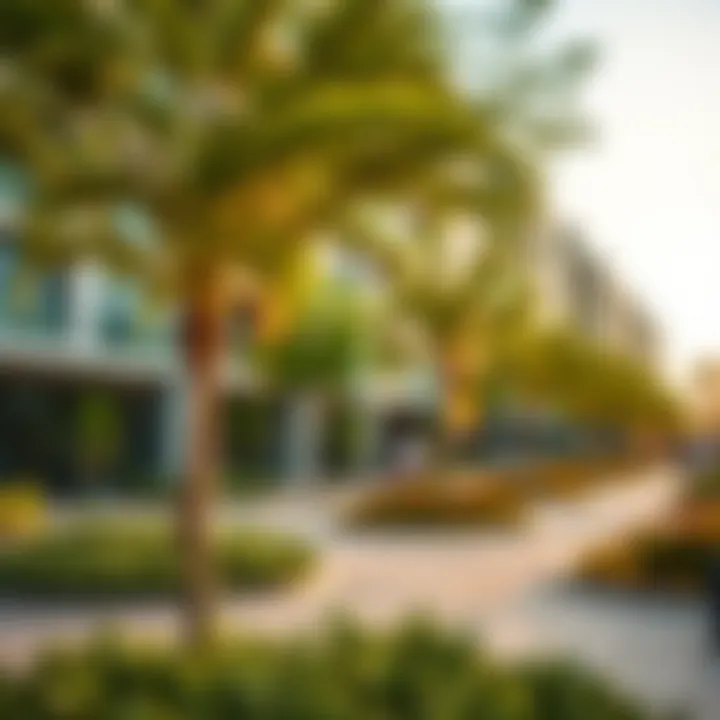 Community Amenities around Apricot Towers Community amenities surrounding Apricot Towers including parks and recreational areas