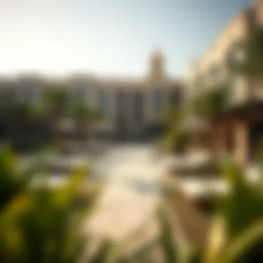 Community amenities in a Damac residential area