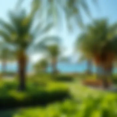 Lush green park on Palm Jumeirah with walking trails