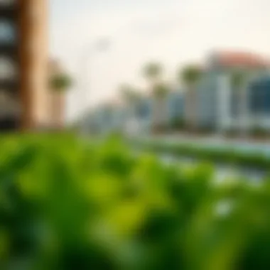 Community Highlights Near Hilton Yas Bay Community amenities surrounding Hilton Yas Bay