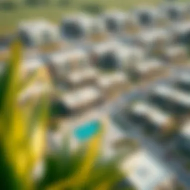 Aerial view showcasing the layout of Mudon