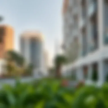 Overview of local amenities such as parks, cafes, and shopping areas