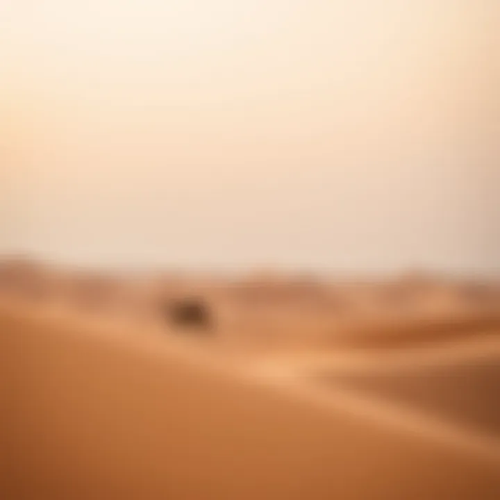 The serene beauty of the Arabian Desert landscape near Abu Dhabi