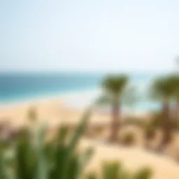 Pristine beach view in Ras Al Khaimah showcasing golden sands and turquoise waters