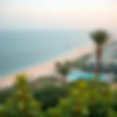 Scenic view of Al Mamzar beach and surrounding greenery