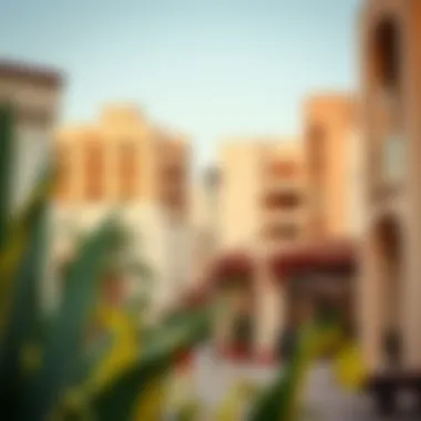 Amenities available in Al Rigga for renters