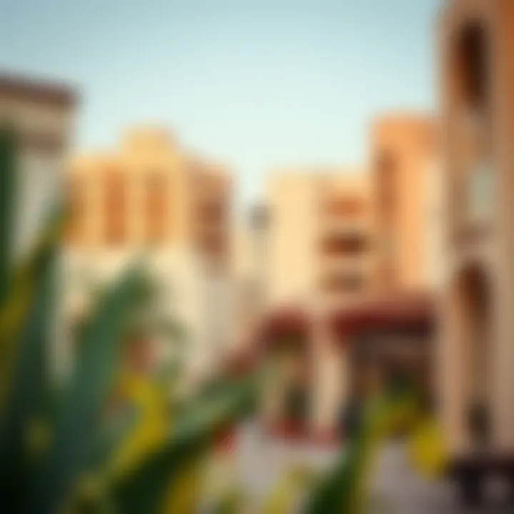 Amenities available in Al Rigga for renters