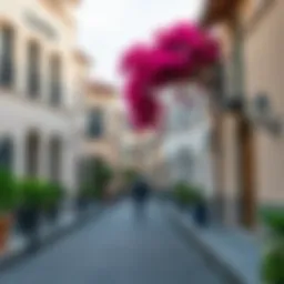 Charming streets of the French village in Dubai