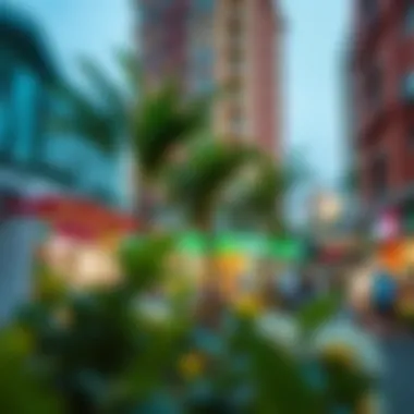 The vibrant community environment surrounding Discovery Garden Carrefour