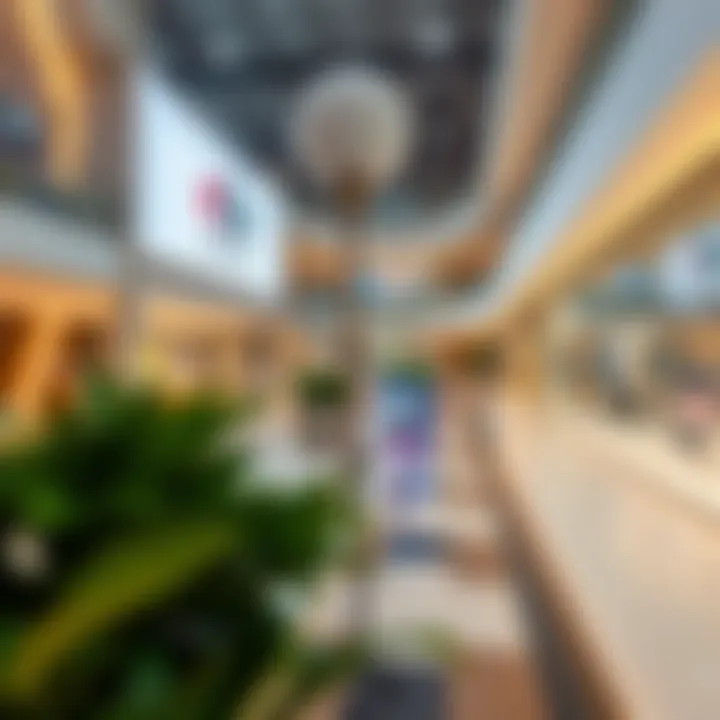 Interior layout of Discovery Garden Carrefour highlighting retail spaces