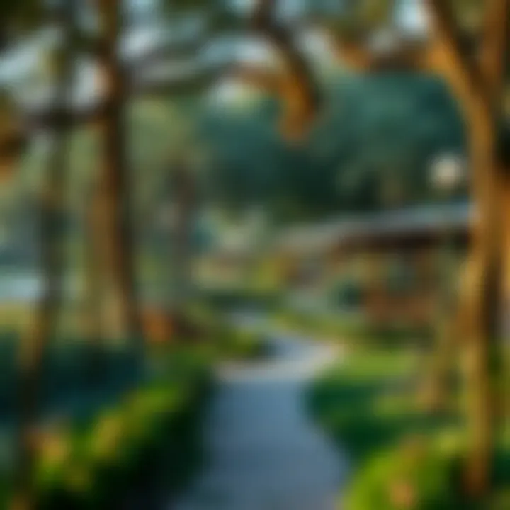 An overview of a park showcasing walking trails and picnic areas