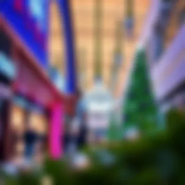 Vibrant entertainment activities during the holiday season in Dubai malls