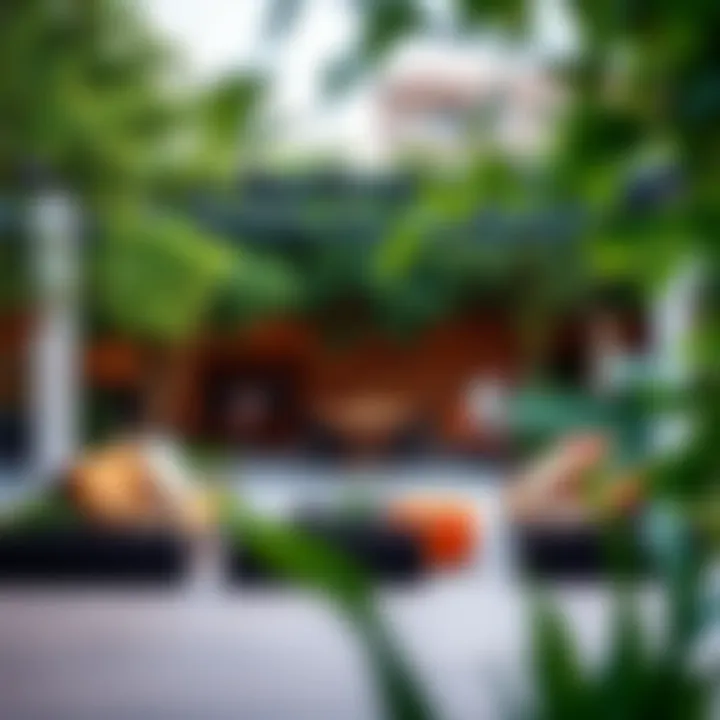 A vibrant outdoor space capturing the essence of community life in Meadow