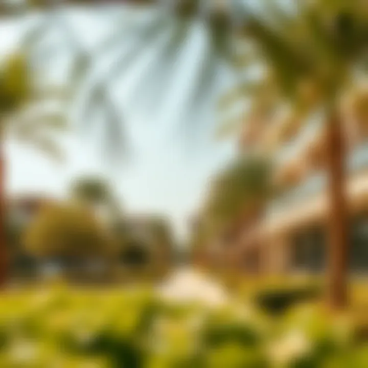 Scenic parks and recreational areas in روضة النايفة