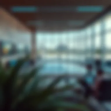 Implications of visa cancellation