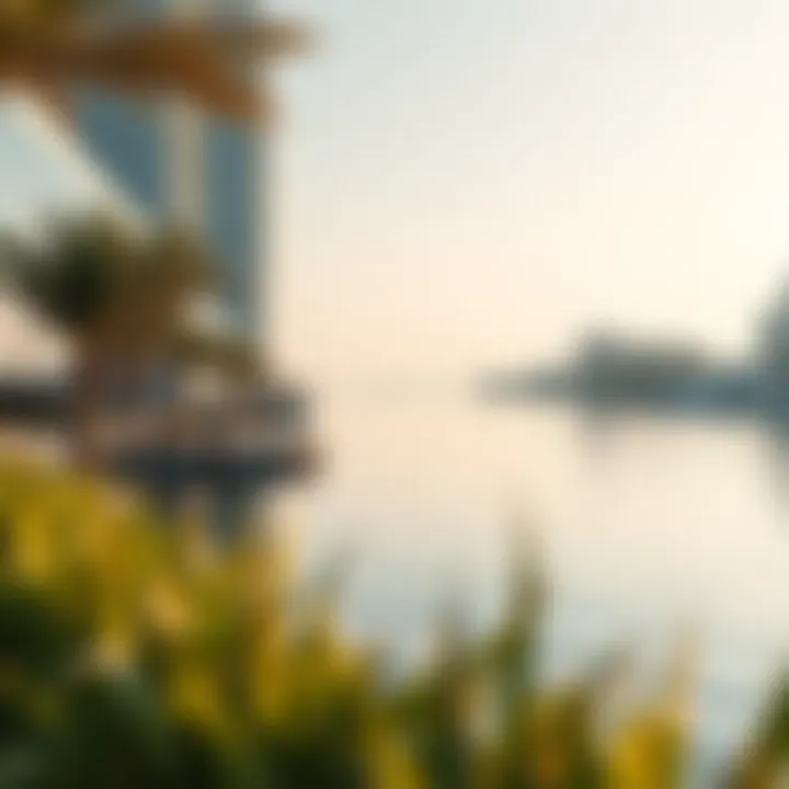 Waterfront Views at Jewel of the Creek Tranquil waterfront with scenic views, highlighting the investment potential of the Jewel of the Creek.