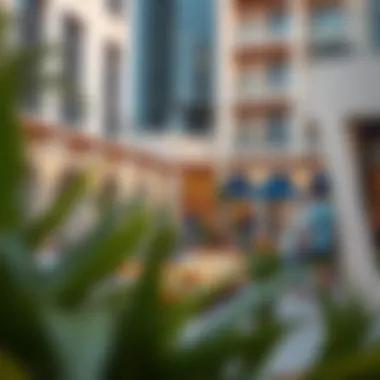 Vibrant community spaces within Dubai's residential areas