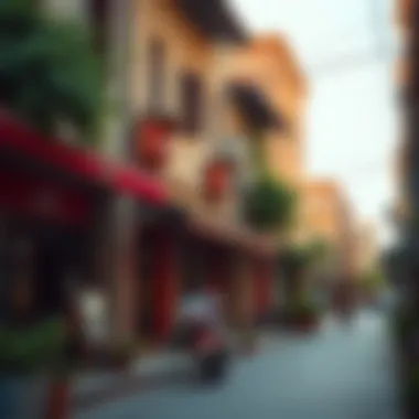 Quaint street in Nad Al Hammer lined with local shops and greenery