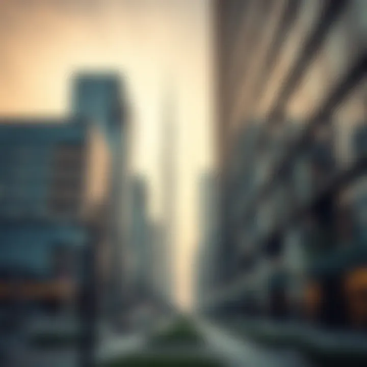 Regulatory bodies in Dubai