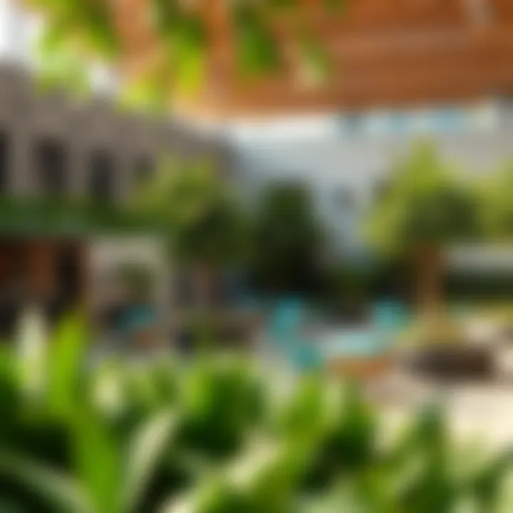 A vibrant community space in North Park with lush greenery