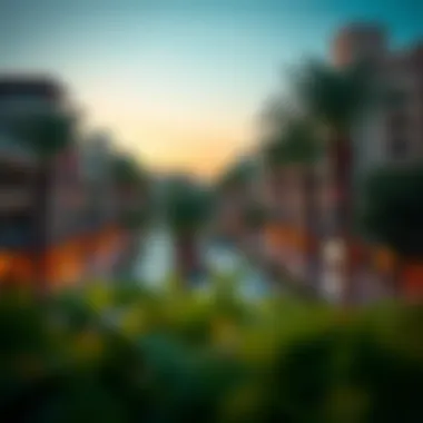 An evening view of North Park highlighting the lifestyle and vibrancy