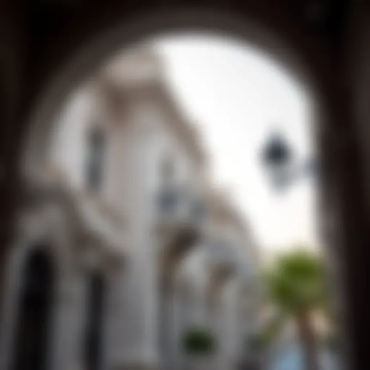 Intricate details of Palladian architectural elements in urban settings