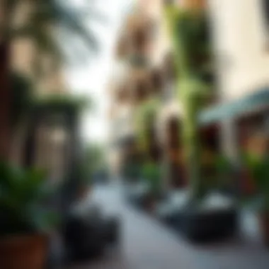 A serene corner of the souk featuring lush greenery and inviting seating areas for relaxation.