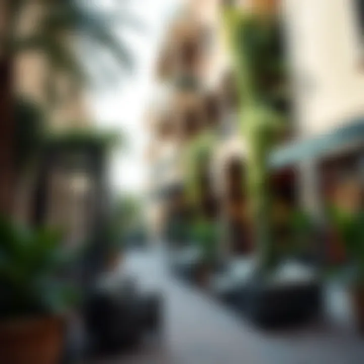 A serene corner of the souk featuring lush greenery and inviting seating areas for relaxation.