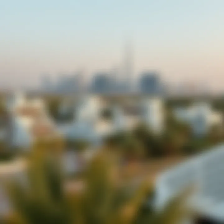 Overview of Dubai skyline with villas in view