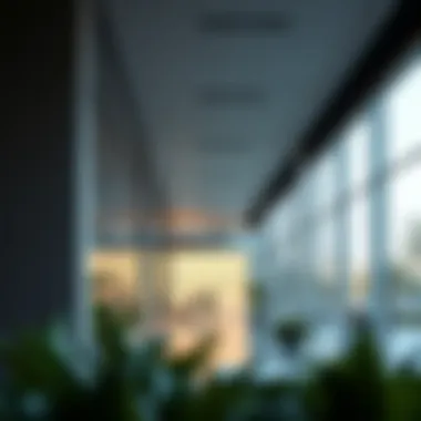 Future Directions: Dewa's Service-Centric Vision Future directions for Dewa in the service sector