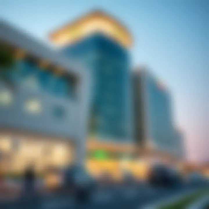 Impacts of Dewa's new service orientation on Dubai's market