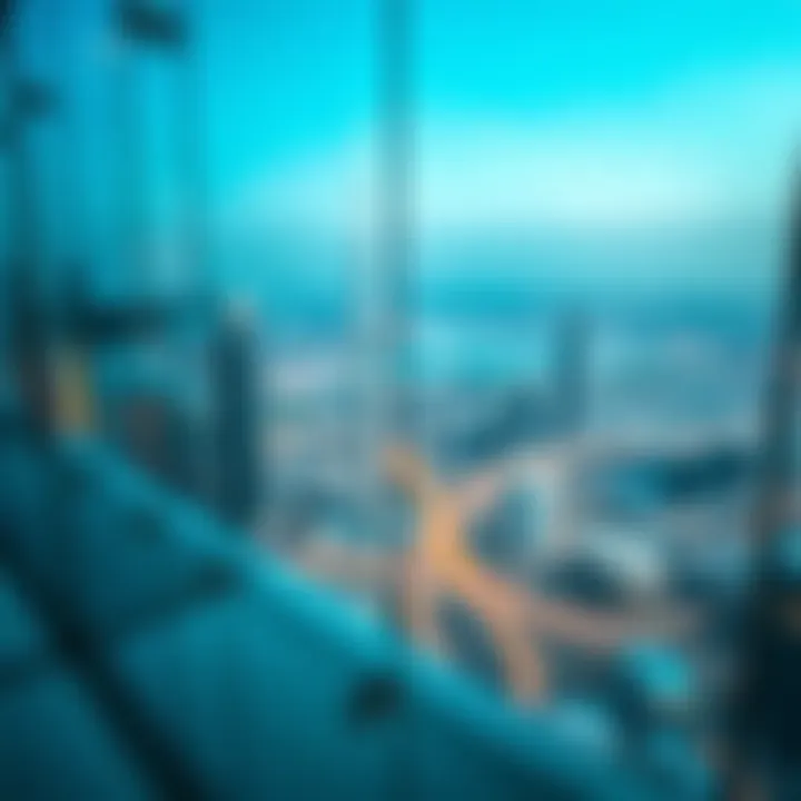 A visual guide to discounts and packages for Sky View