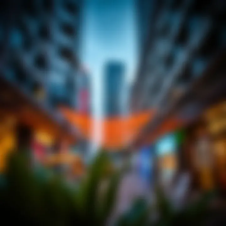 Vibrant surroundings of The Address Dubai Mall Residences highlighting urban lifestyle