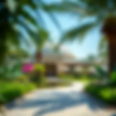 Sharjah Botanical Garden: A Lush Oasis of Flora The beautiful Sharjah Botanical Garden