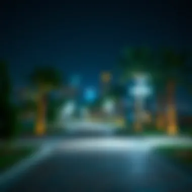 A tranquil view of a 24-hour park in Dubai at night, illuminated by soft lights