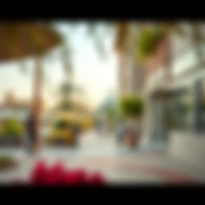 Vibrant lifestyle scene in Al Majaz with local amenities and recreational areas